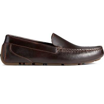 Sperry Harpswell Venetian Káva - Panske Mokasíny